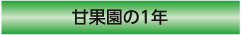 Éʉ1N