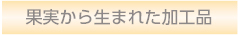 ʎ琶܂ꂽHi